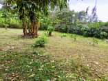 A picture of Kiwnja kimenyooka kinauzwa jirani na masai land