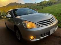 used toyota allion