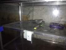 A picture of KABATI LA KIOO MITA MOJA NA NUSU 0687098582
