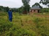 A picture of 3 Genuine Agreement Plots of Land on sell in Matugga