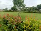 A picture of 