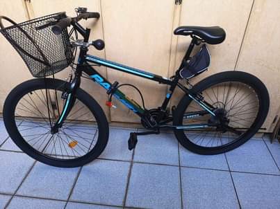 raleigh bicycles