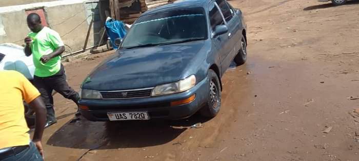 toyota kikumi