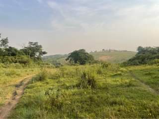 A picture of Plots at 18m Nakasajja kasenene