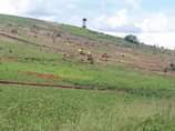 A picture of Plots