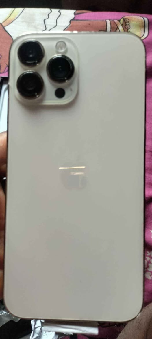 A picture of IPhone 13 pro max