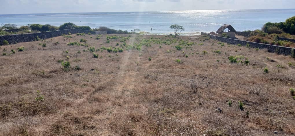A picture of BEACHFRONT PLOT FOR SALE SOUTH ZANZIBAR