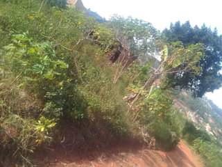 A picture of Plot for sale at only 19m