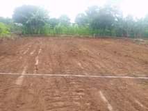 A picture of PLOTS FOR SALE STARTING FROM 2 3 MILLION UGX 50