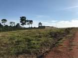 A picture of Kakiri