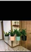 A picture of Home decor