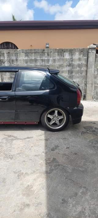 Trini V.
