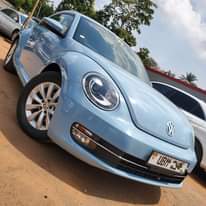 A picture of BEETLE 2015 40M