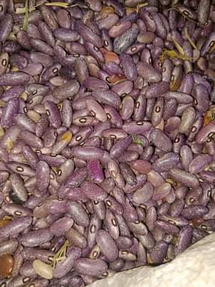 A picture of Maharage ya soya kijivu ndefu