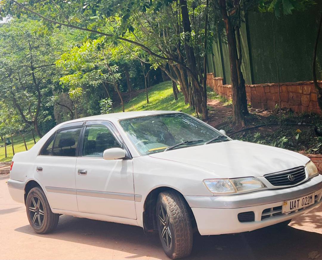 toyota premio