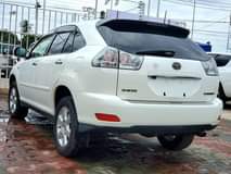 A picture of Harrier new model