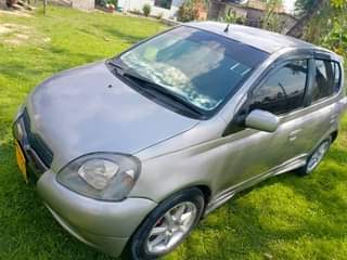 A picture of Vitz