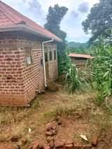 A picture of Price reduced from 60 to 50m shs last price