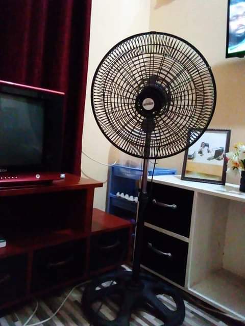 fans