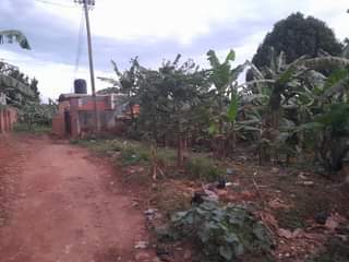 A picture of Commercial plot for sale 33 Decimals with ready title
