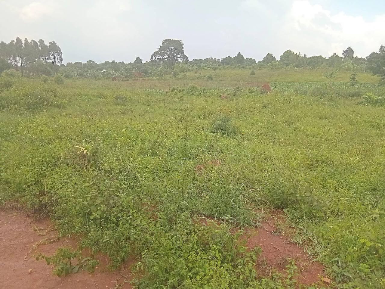 A picture of BLACK NOVEMBER SALE IS HERE. 13 plots of land 50by100ft