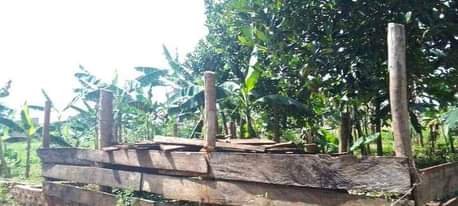 A picture of 33 decimals at 35m Matugga Kavule 2km off Tarmac Bombo