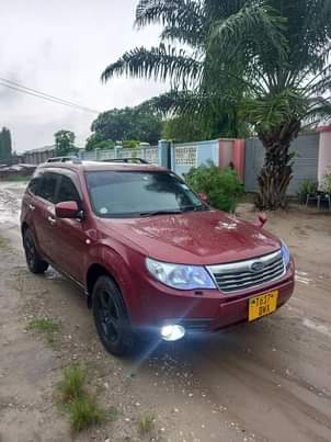 subaru forester