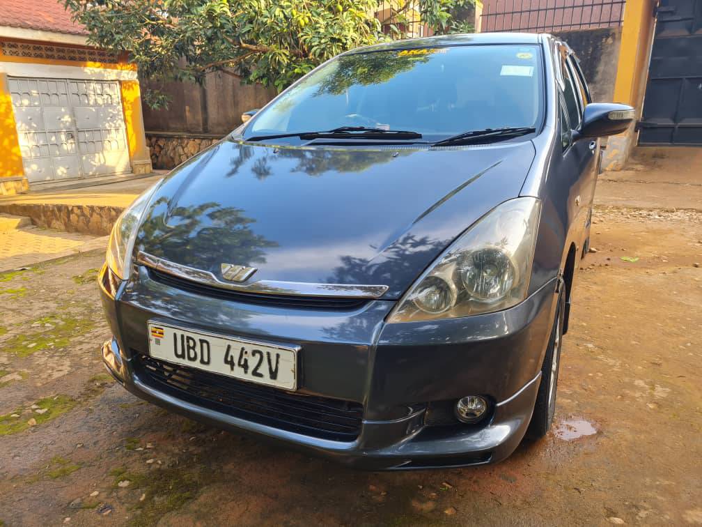 A picture of Wish 1 8cc 19M