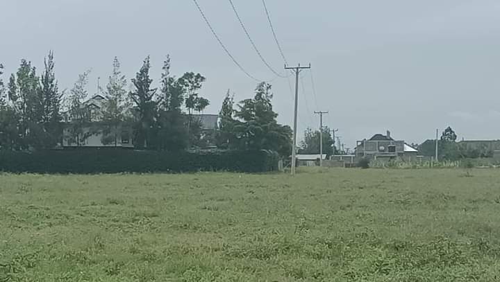 50 100 plots