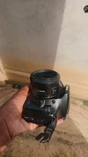 A picture of Canon 550D with 50mm