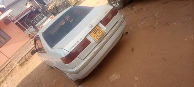 A picture of 6 5m 0743386797