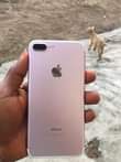 A picture of iPhone 7plus 32gb neatly use and working perfectly with no