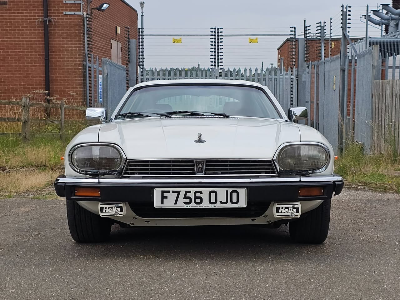 jaguar