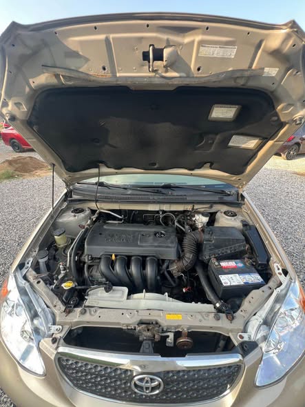 A picture of Toyota 2007