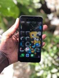 A picture of iPhone 7 Plus