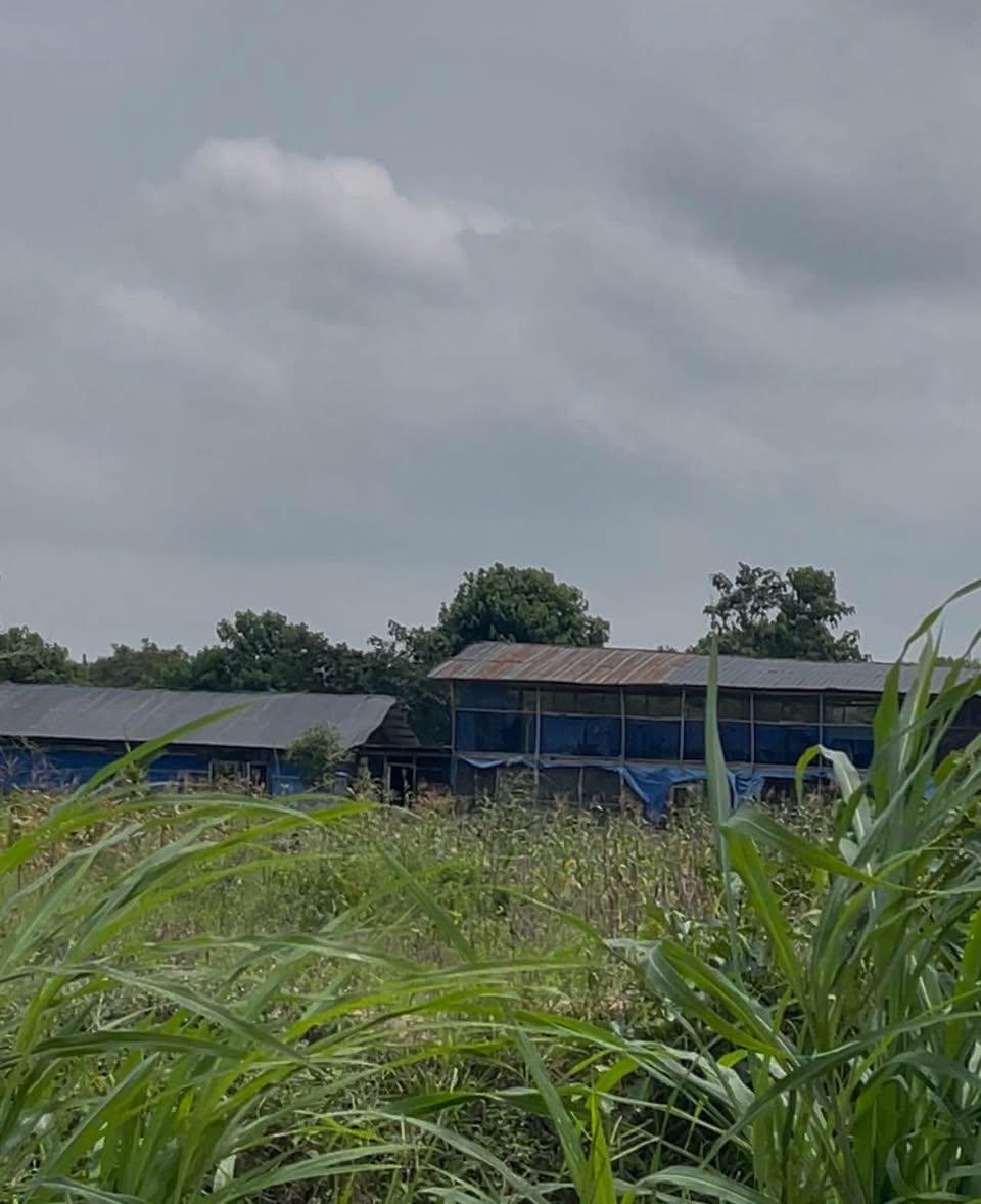 A picture of 75 plots of Land for Sale in Aviele with C