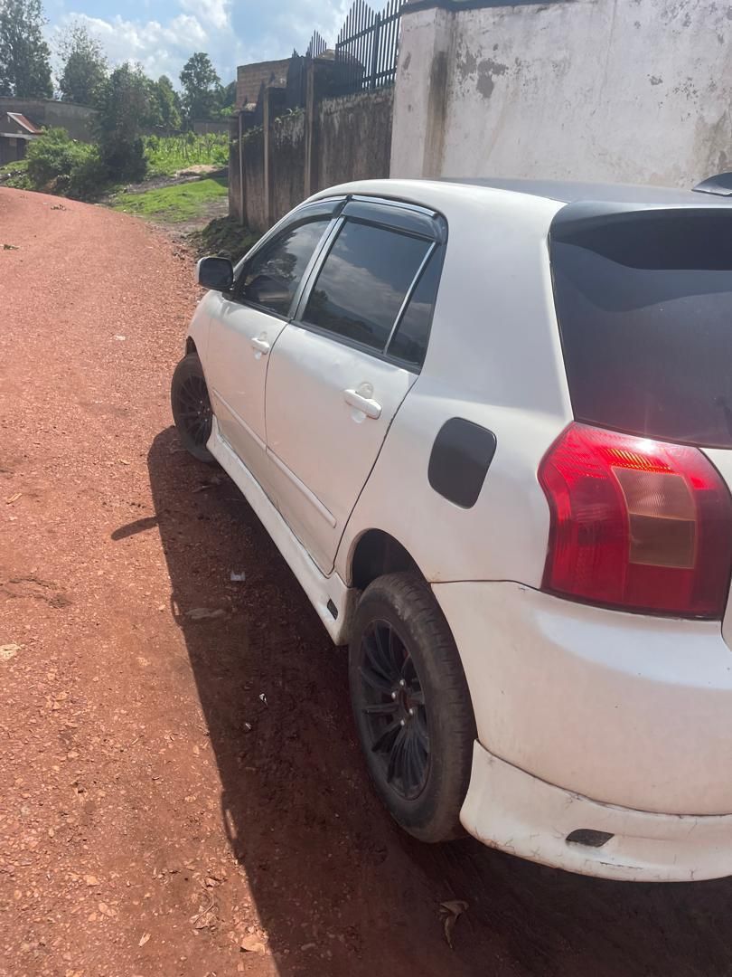 A picture of Toyota runx