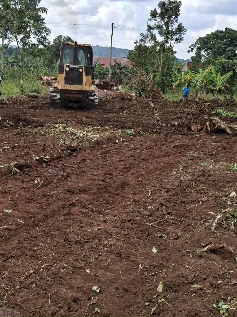 A picture of Land