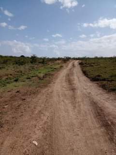 Mûthee M.