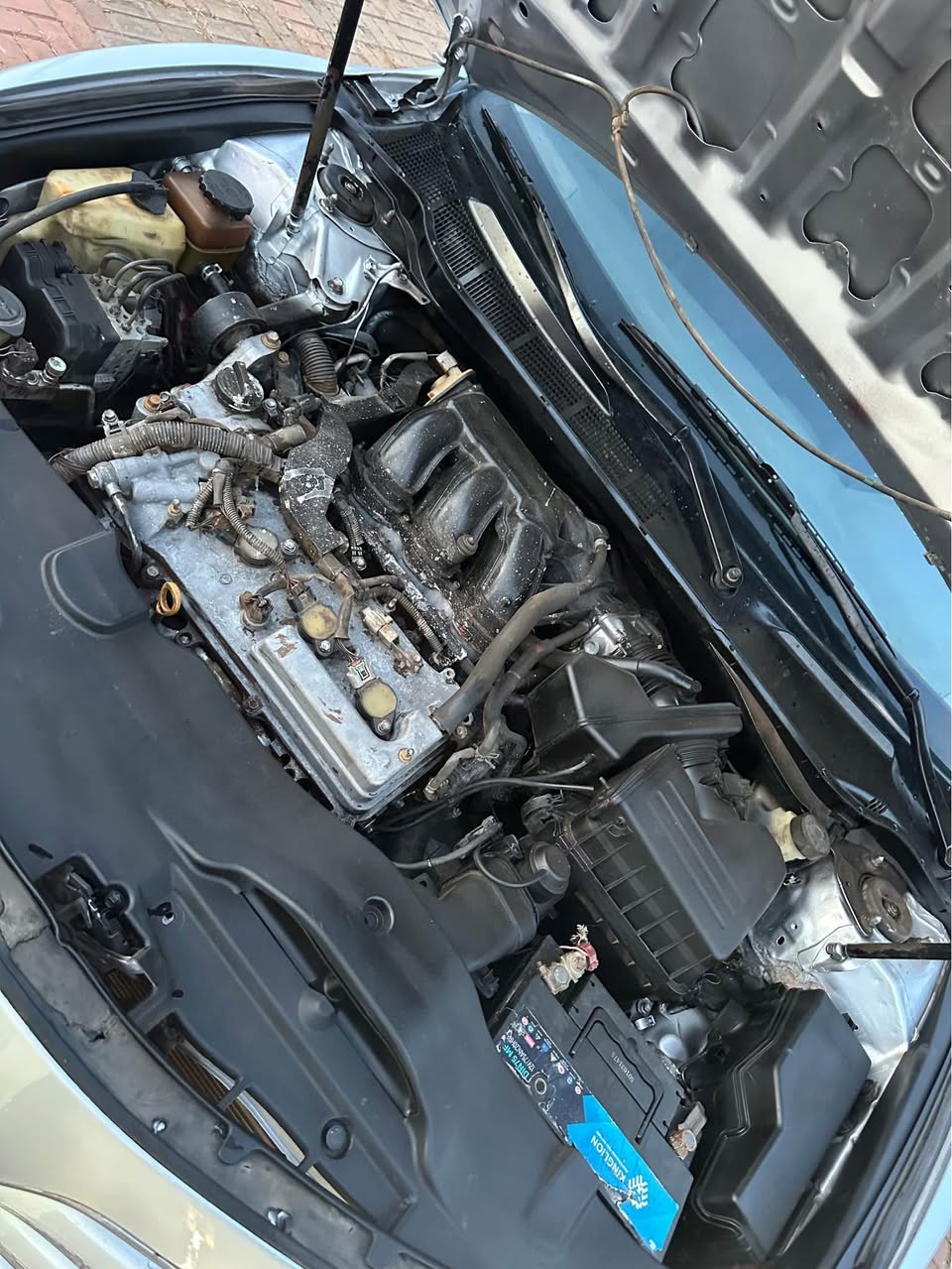 A picture of Camry Muscle XLE Toks standard