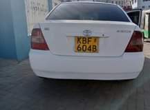 Nyawira C.