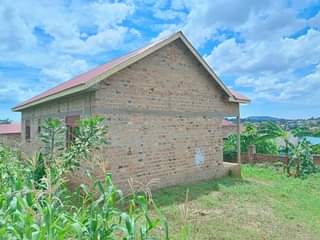 A picture of Good deal Rental units for sale located at mukono kayunga