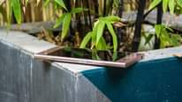 A picture of Sony Xperia xz1