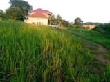 A picture of Gayaza Bugema near university