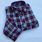 A picture of Mashati ya dog dog yanapatikana nipigie 0659811466 tufanye biashara