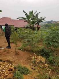 A picture of Quick sale plot 50 30 Namugongo Jogo town At 10m