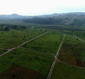 A picture of Plots and Acres of land foe sale