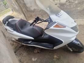 A picture of Yamaha majesty