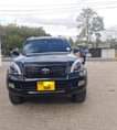 A picture of Landcruiser Prado