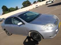 used toyota corolla
